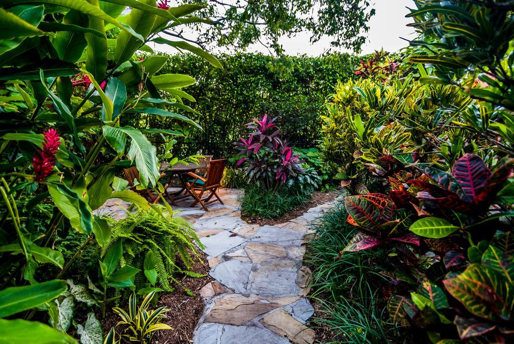 דלריי ביץ' Crane'S Beach House Boutique Hotel & Luxury Villas מראה חיצוני תמונה